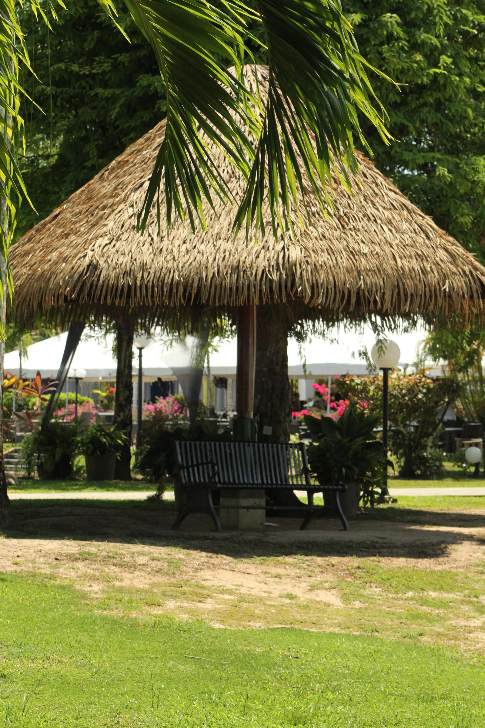 Kiosque de jardin à toit de chaume avec un banc